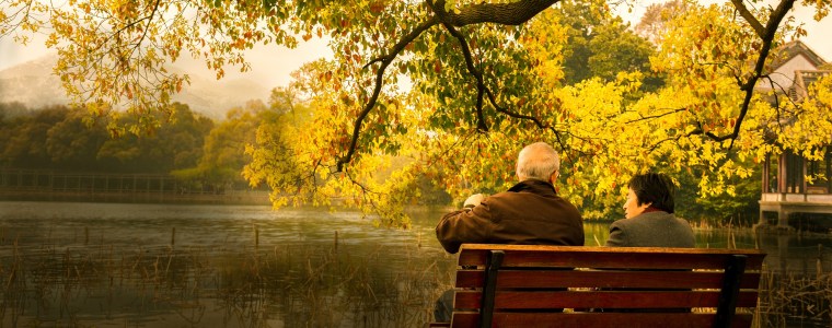 senior couple on bench next to tree